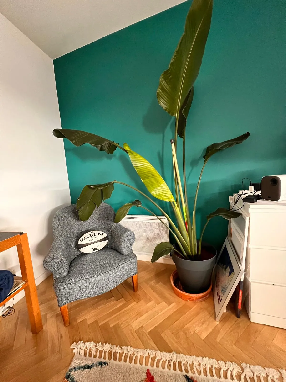 Location Villejuif Appartement 684fe05c8252