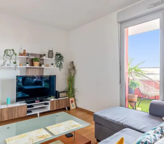 Location Villeurbanne Appartement 68502e7b7b583