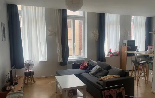 Location Lille Appartement 68516ac8e254