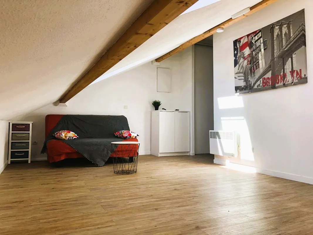 Location Lyon Appartement 6852dd8ebee61