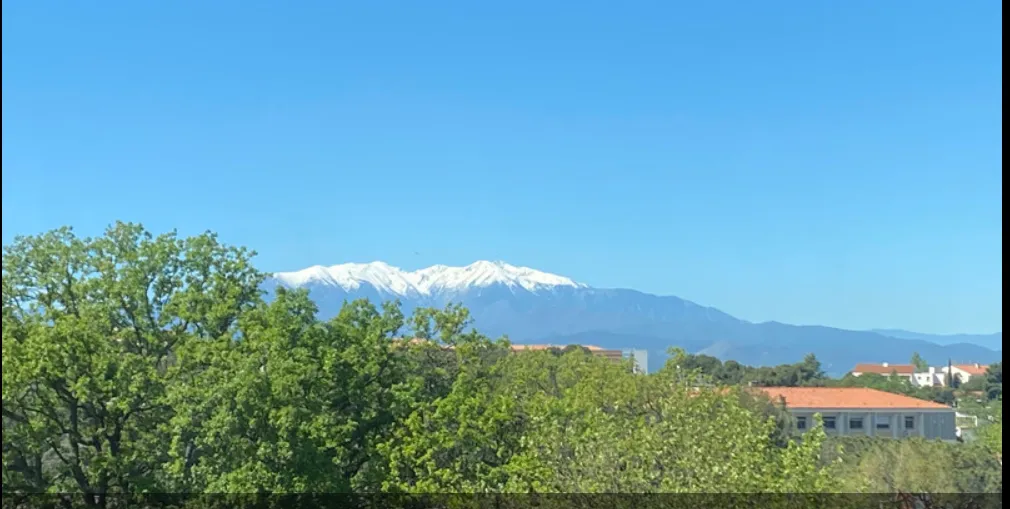 Location Perpignan Appartement 685850d48d90