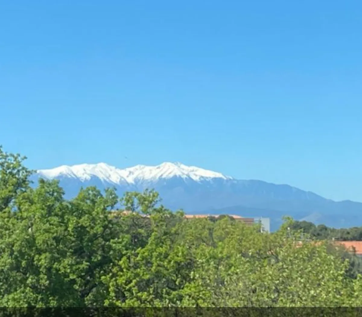 Location Perpignan Appartement 685850d48d90