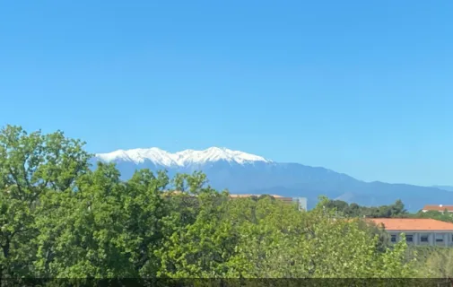Location Perpignan Appartement 685850d48d90