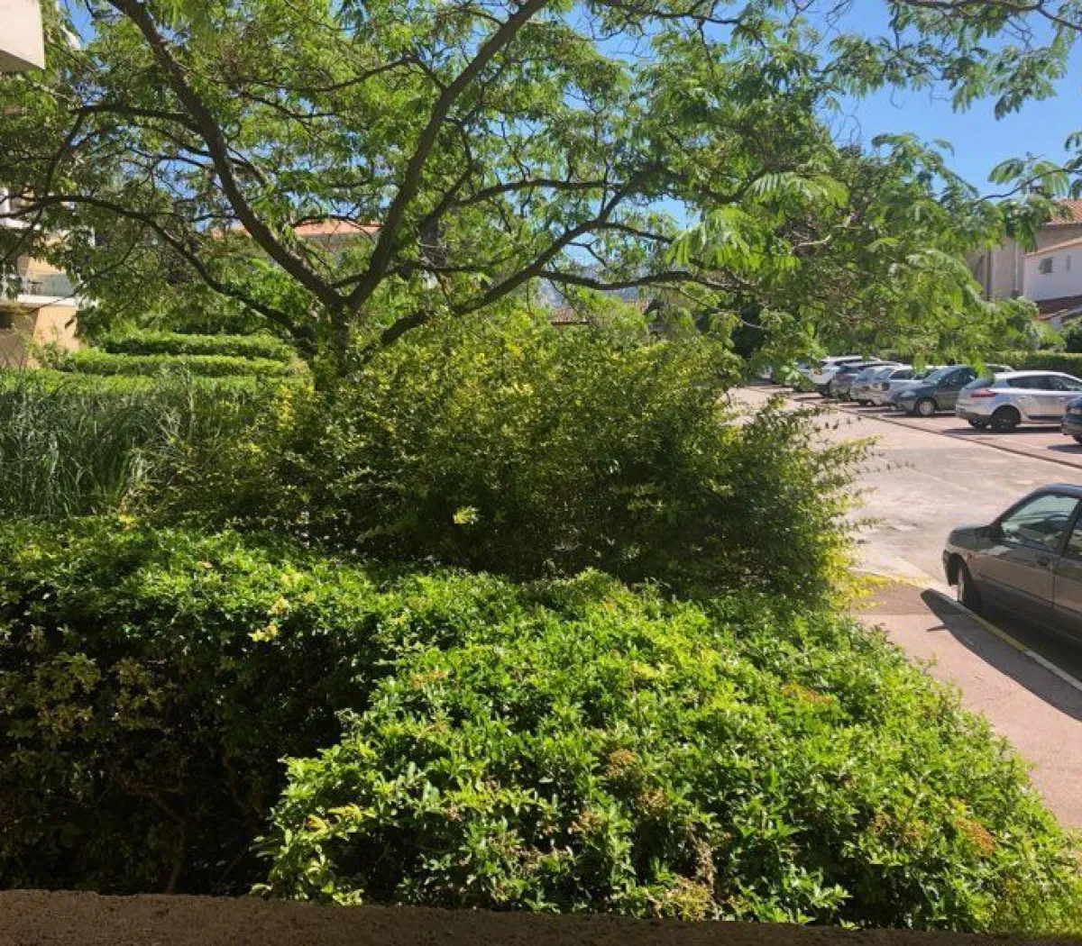 Location Marseille Appartement 685959498811