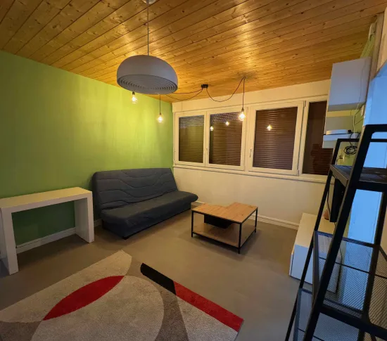 Location Nancy Appartement 685ac0e5dba2