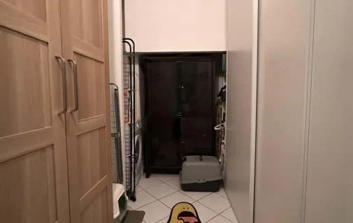 Location Toulouse Appartement 685bcd1dcf34