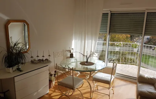 Location Erstein Appartement 685bcd895080