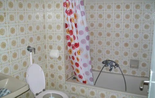 Location Erstein Appartement 685bcd895080