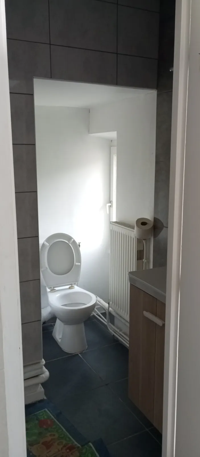 Location Voiron Appartement 686006b8a9fd4