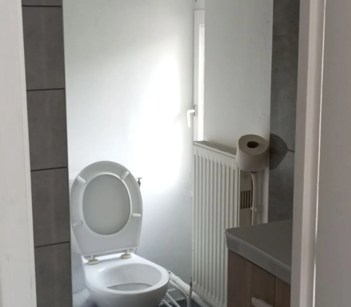 Location Voiron Appartement 686006b8a9fd