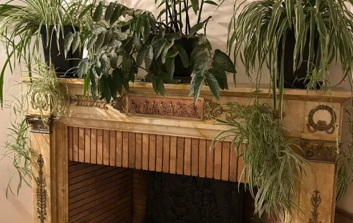 Location Jeufosse Appartement 68698e1d1fc9