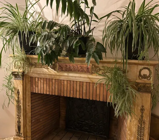 Location Jeufosse Appartement 68698e1d1fc92