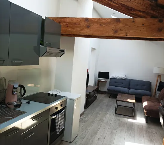 Location Lyon Appartement 686e7419cf622