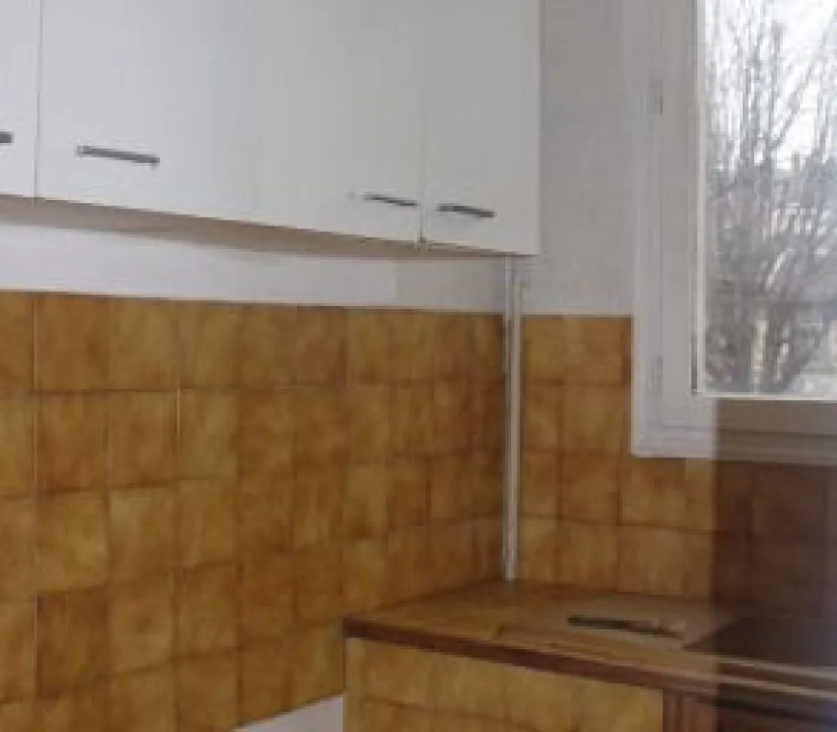 Location Le Kremlin-Bicêtre Appartement 686f829b41fe