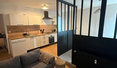 Location Lyon Appartement 686fc0f1c458