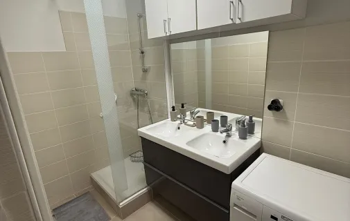 Location Lyon Appartement 686fc0f1c458