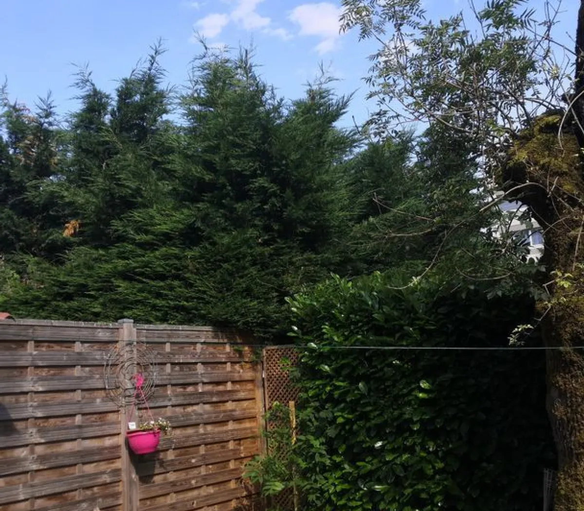 Location Ferney-Voltaire Chambre 6870dbd0f2f2