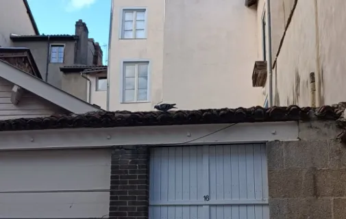 Location Limoges Appartement 68721dcae7b9