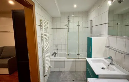 Location Thionville Appartement 687655aee8be