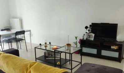 miniatureLocation Lille Appartement 6876c70fd4cb2