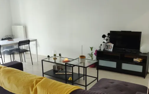 Location Lille Appartement 6876c70fd4cb
