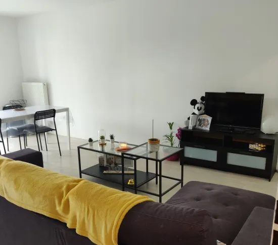 Location Lille Appartement 6876c70fd4cb2