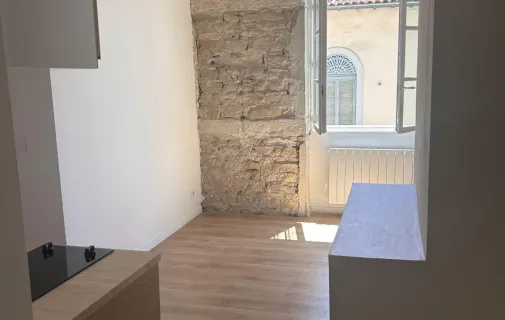 Location Lyon Appartement 6877d11b5eb0