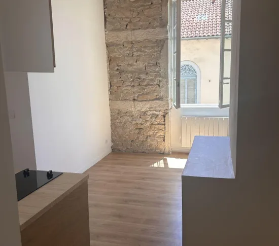 Location Lyon Appartement 6877d11b5eb02