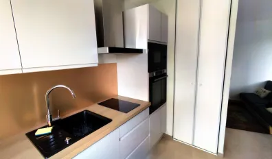 Location Villeurbanne Appartement 6878a3c54e97