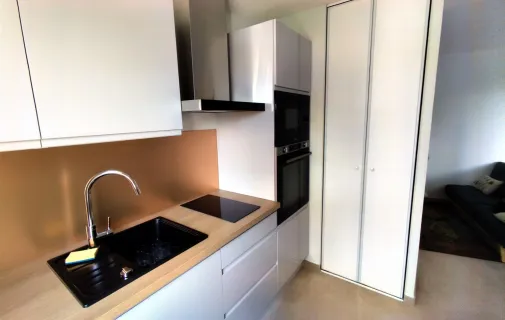 Location Villeurbanne Appartement 6878a3c54e97