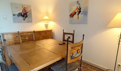 Location Villeurbanne Appartement 6878a3c54e97