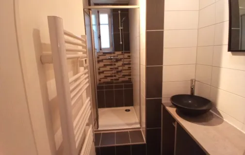 Location Saint-Étienne Appartement 687e508415ca