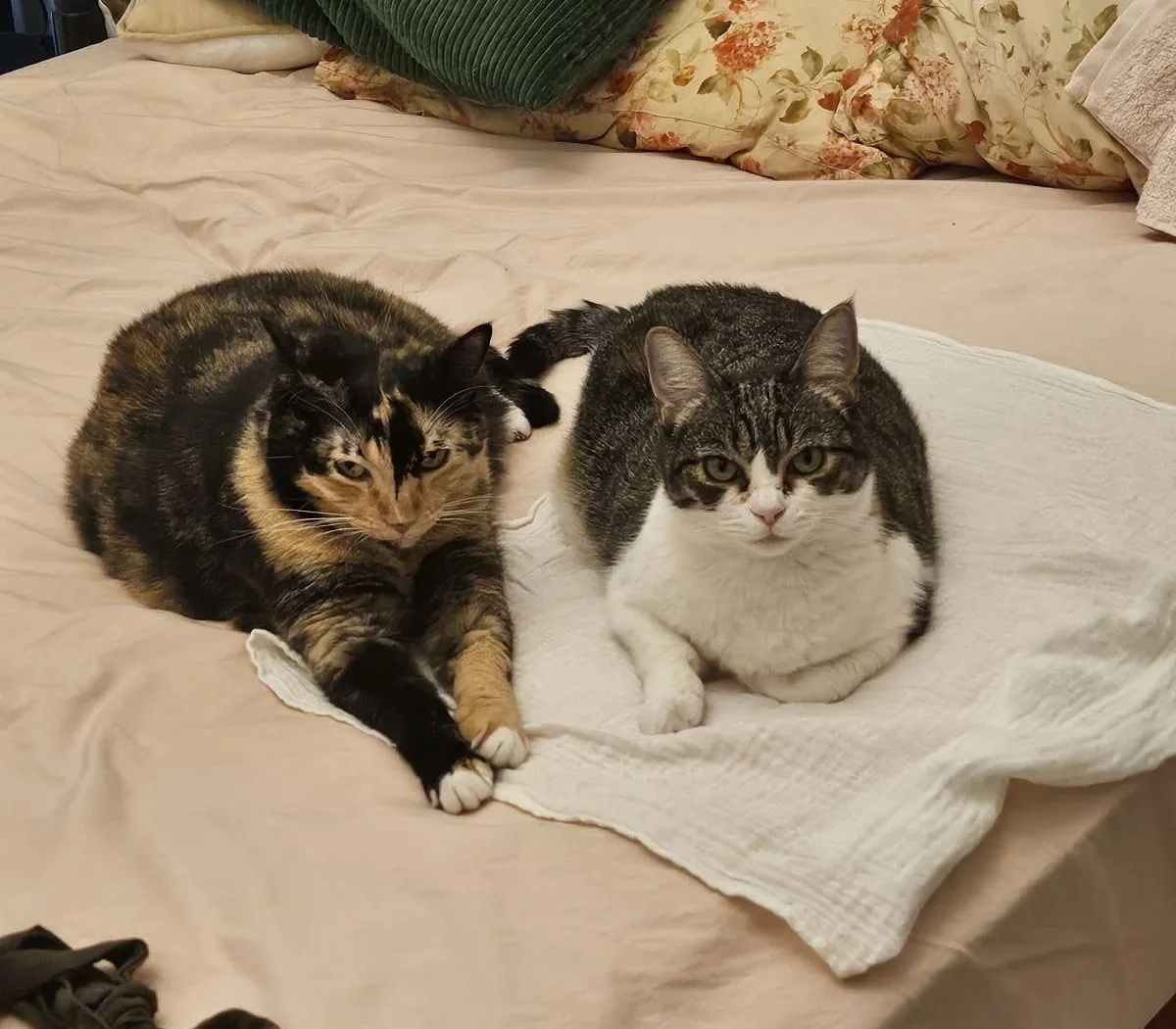 Location Marseille Chambre 68808aee8c3c