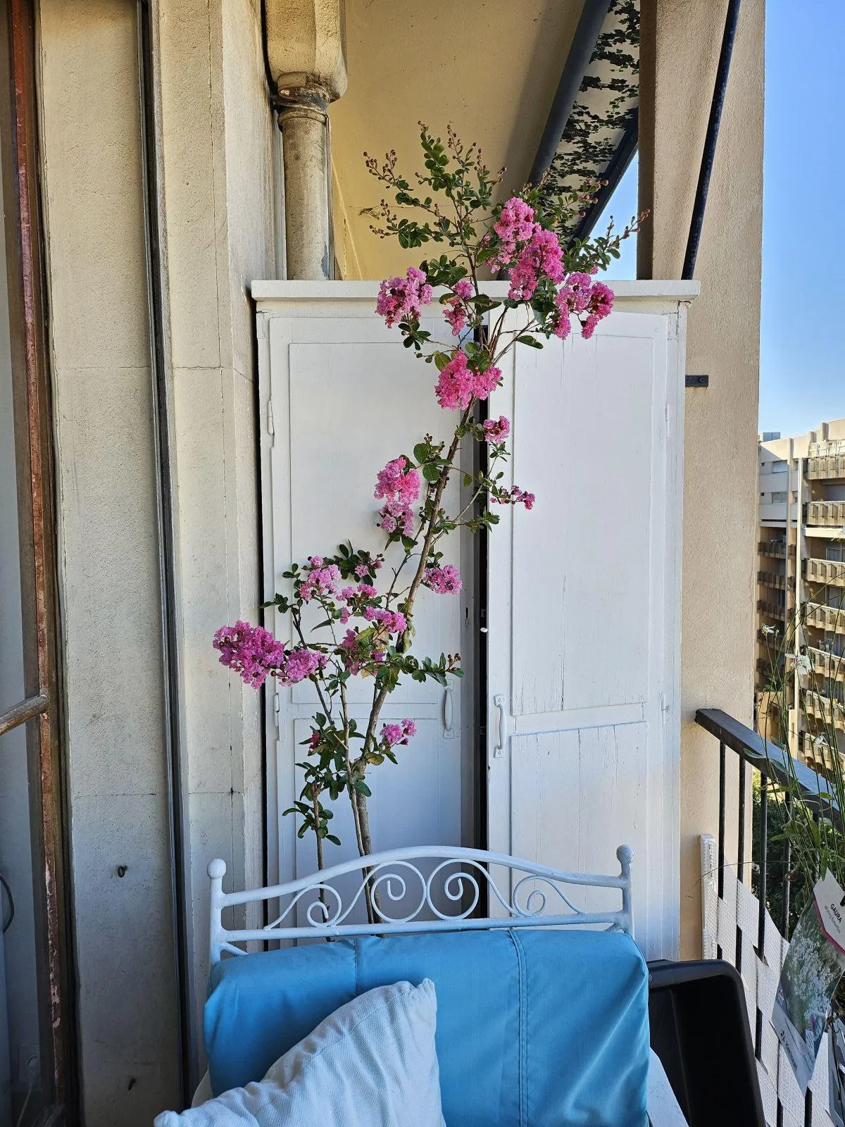 Location Marseille Chambre 68808aee8c3c6