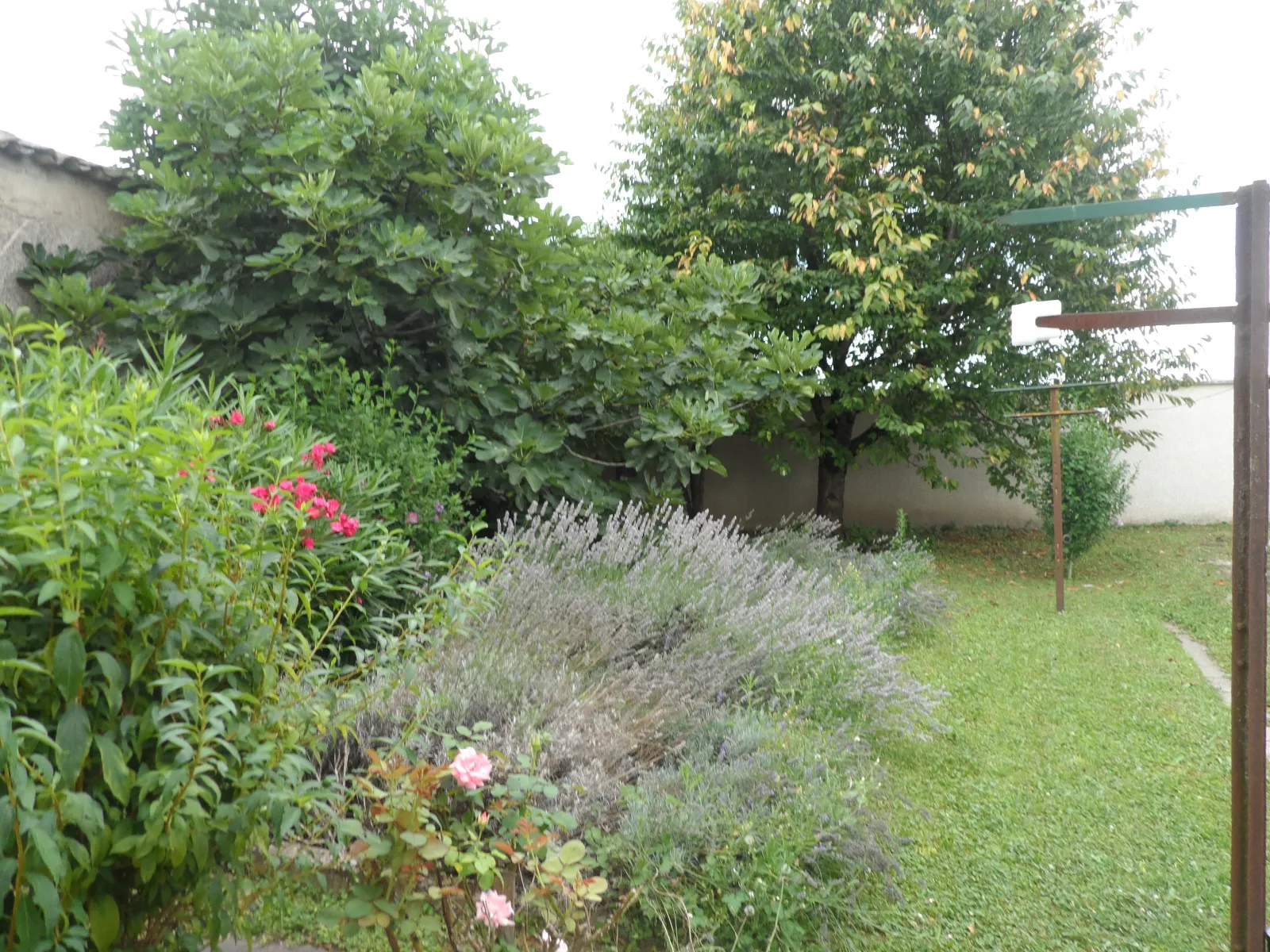 Location Vaulx-en-Velin Maison 6883a930896f