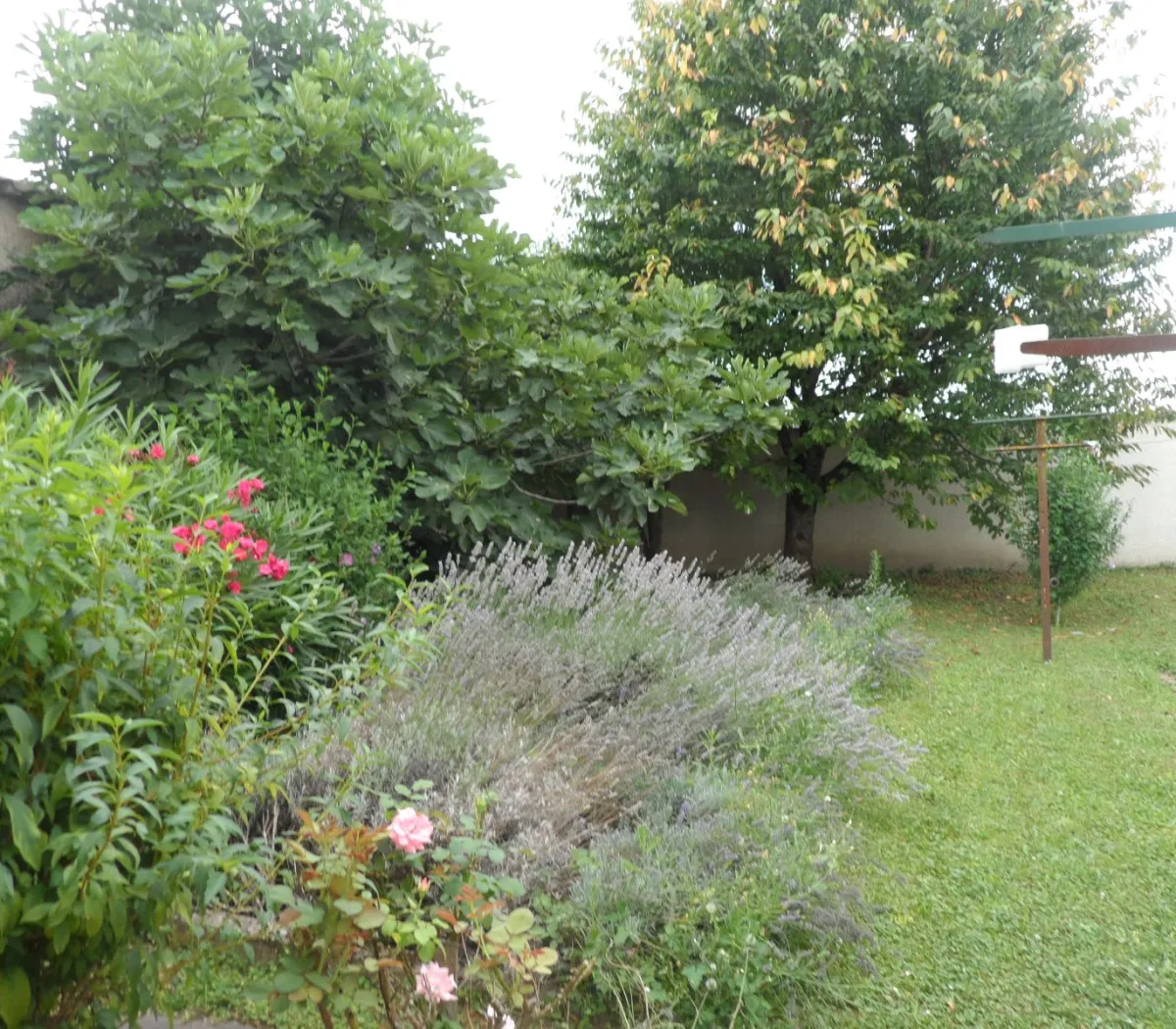 Location Vaulx-en-Velin Maison 6883a930896f