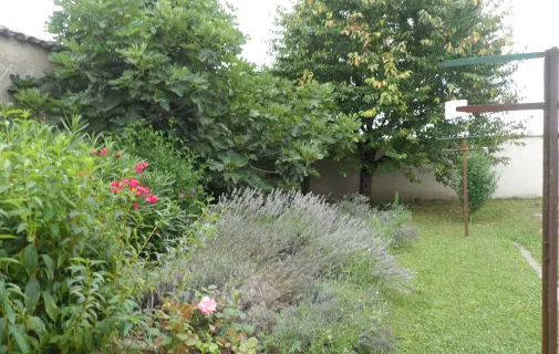 Location Vaulx-en-Velin Maison 6883a930896f