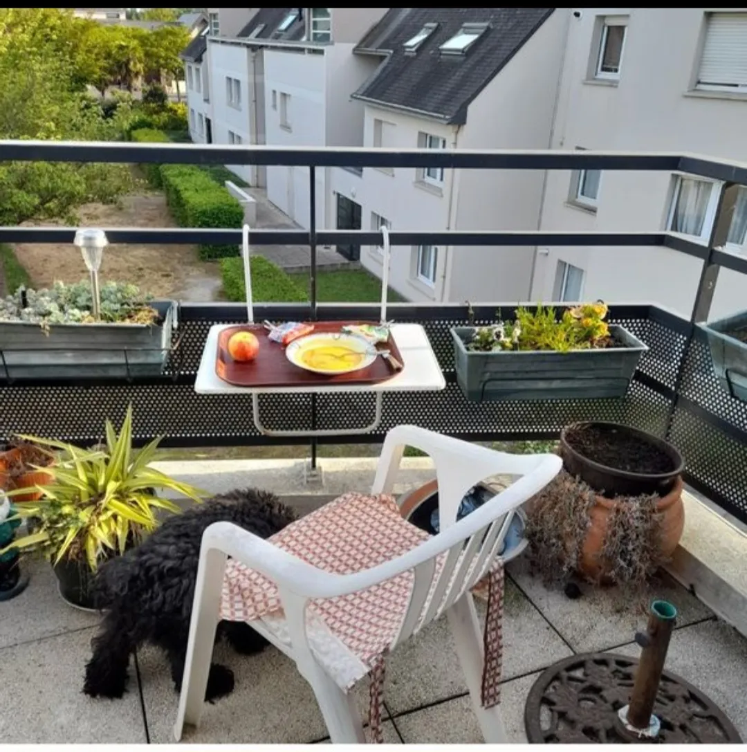 Location Rennes Appartement 688ba1d847d24