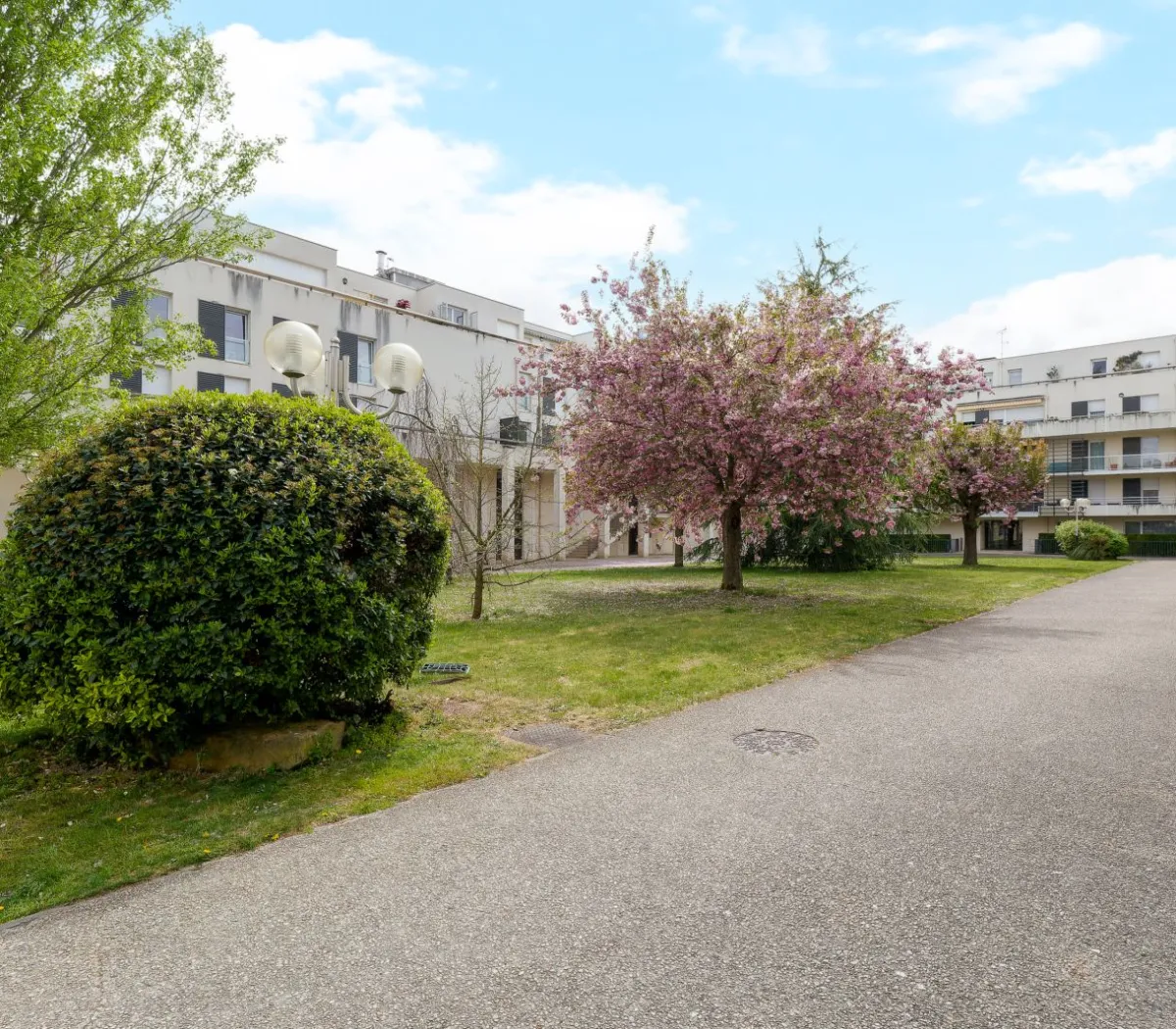 Location Reims Appartement 68966c3f87c5