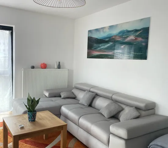 Location Lille Appartement 689cc641cd9b