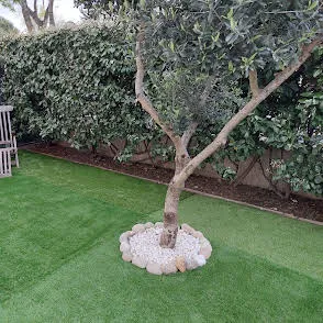 Location Perpignan Appartement 689dc3536036