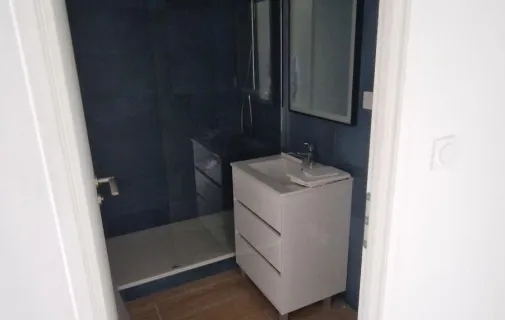 Location Lyon Appartement 68a476e05bb5