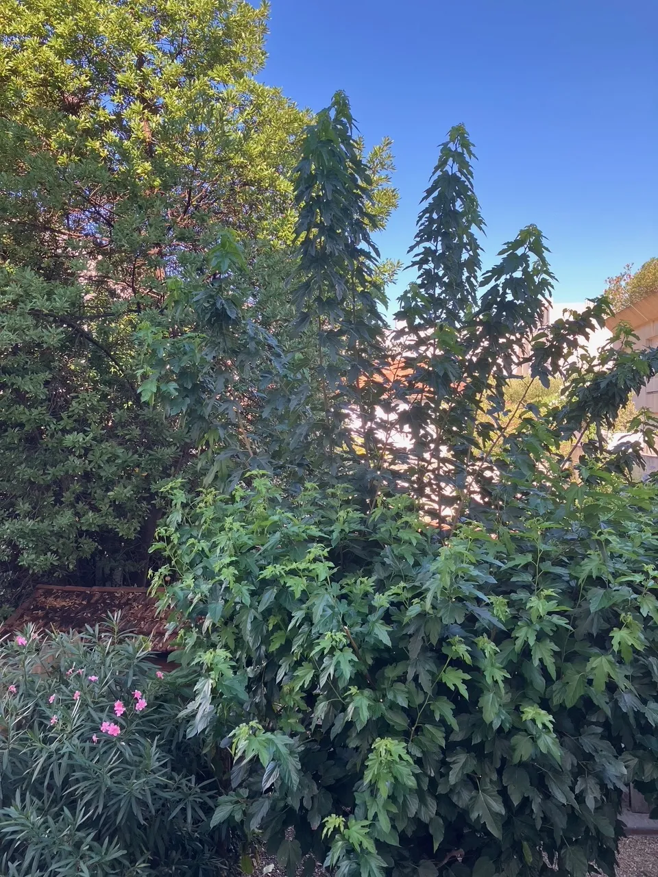 Location Marseille Appartement 68a8170c3d016