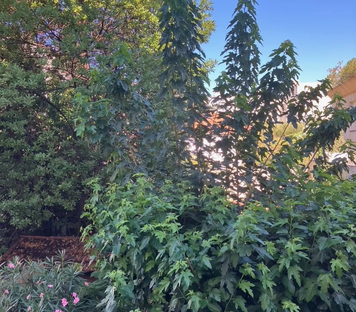 Location Marseille Appartement 68a8170c3d01