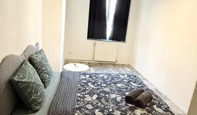 miniatureLocation Saint-Étienne Appartement 68ac6911cbdd2