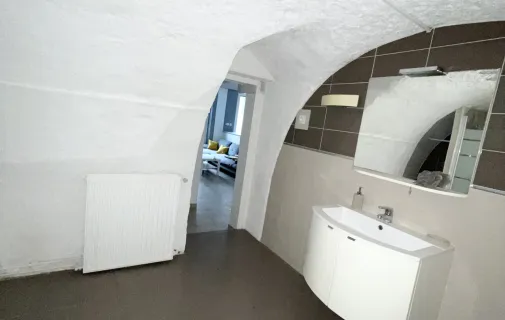 Location Saint-Étienne Appartement 68ac7d354ebf