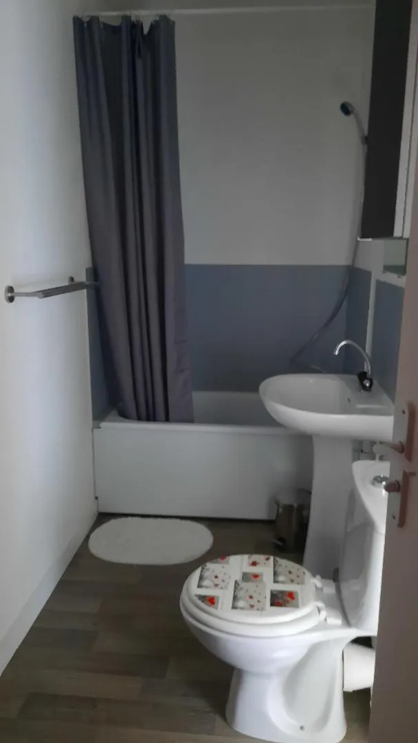 Location Saint-Étienne Appartement 68ad77111def3
