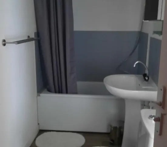 Location Saint-Étienne Appartement 68ad77111def3