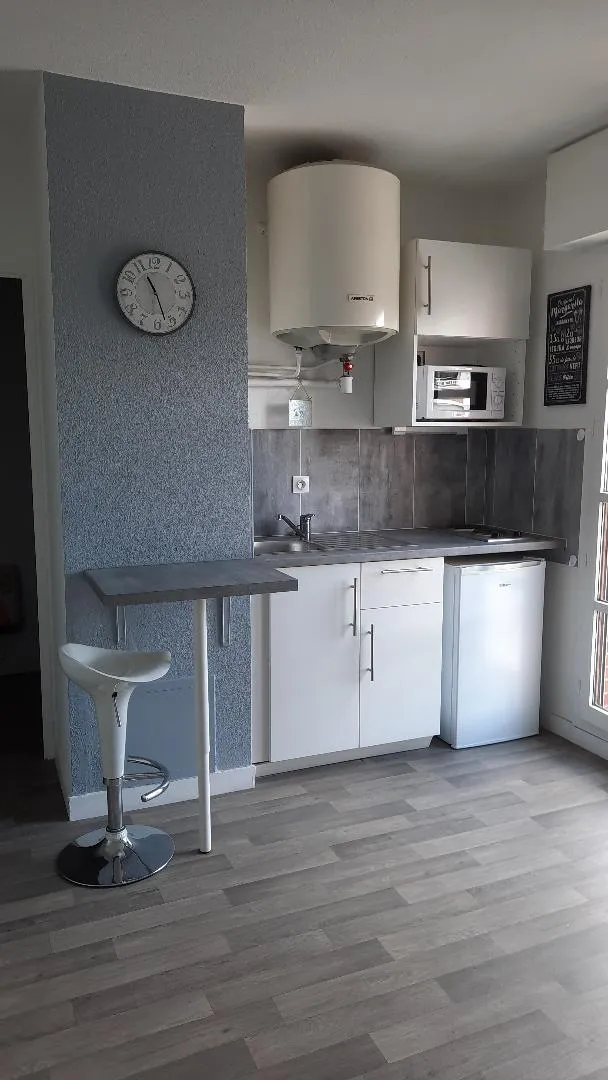 Location Saint-Étienne Appartement 68ad77111def1