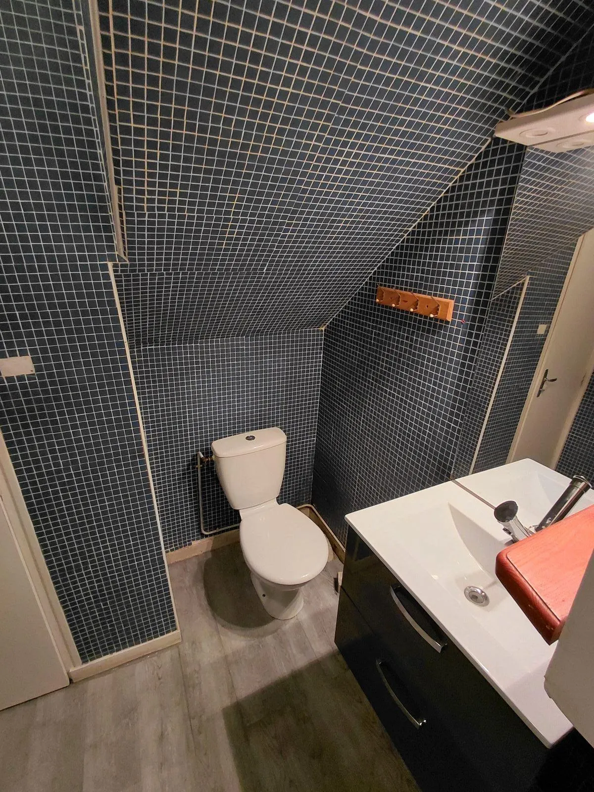 Location Saint-Étienne Appartement 68adf0c38da15